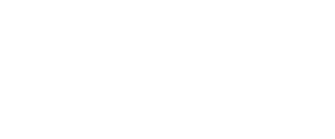 Show Musik